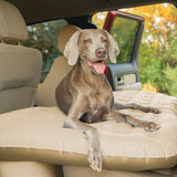 Pittman Outdoors With Dog